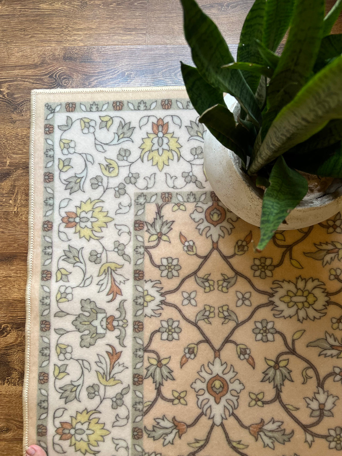 Vintage Kashan Area Rug in Apricot